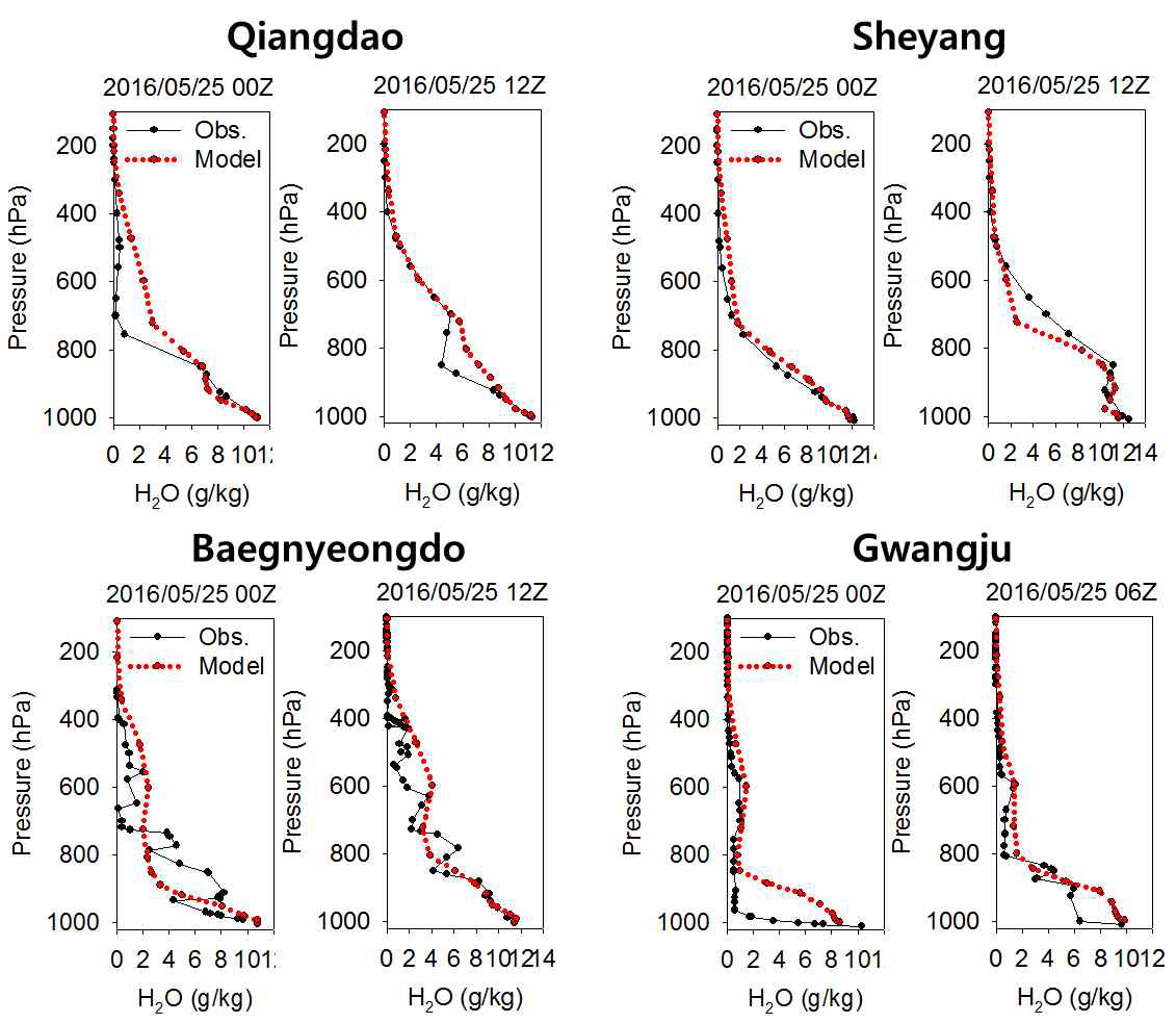 2016년 5월 25일의 중국 Qingdao(왼쪽 위), Sheyang(오른쪽 위)와 한국 백령도(왼쪽 아래)와 광주(오른쪽 아래)의 상층 수증기량의 연직 분포의 존데 측정값 및 모델 결과