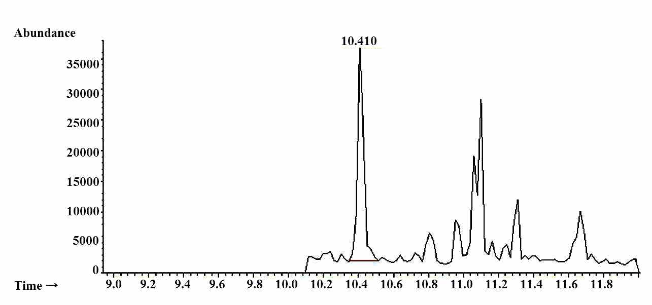 Chloroform의 GC-MS chromatogram