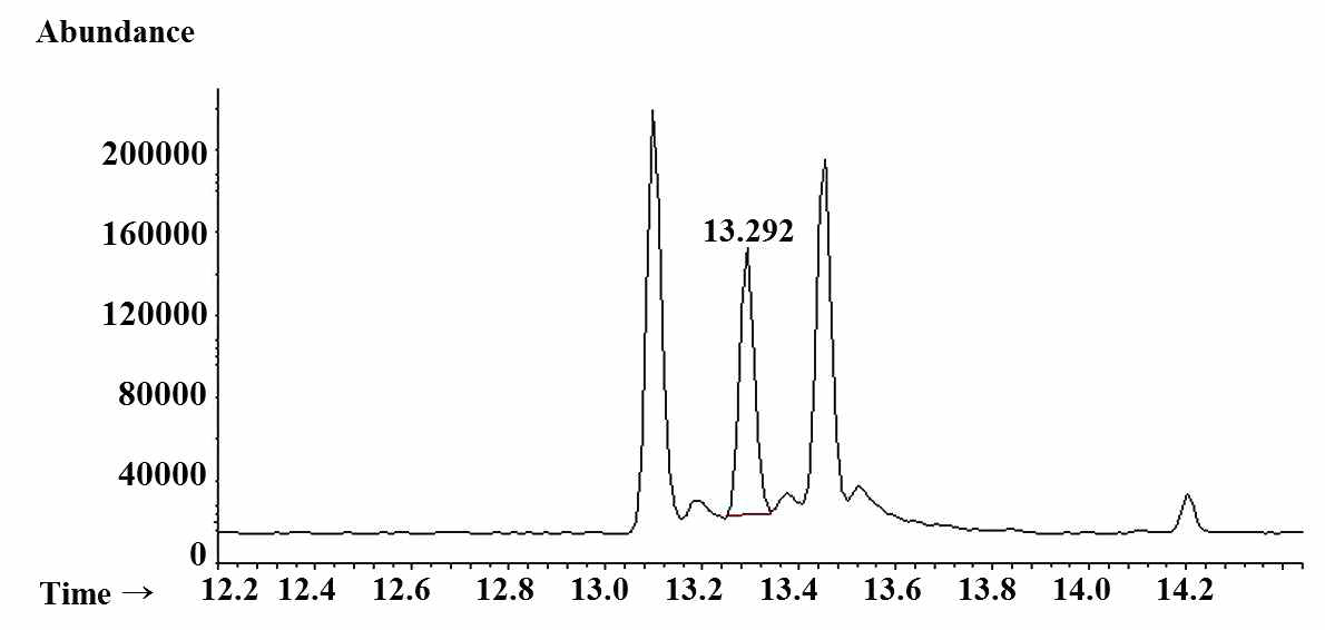 p-Xylene의 GC-MS chromatogram