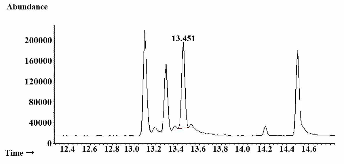 m-Xylene의 GC-MS chromatogram