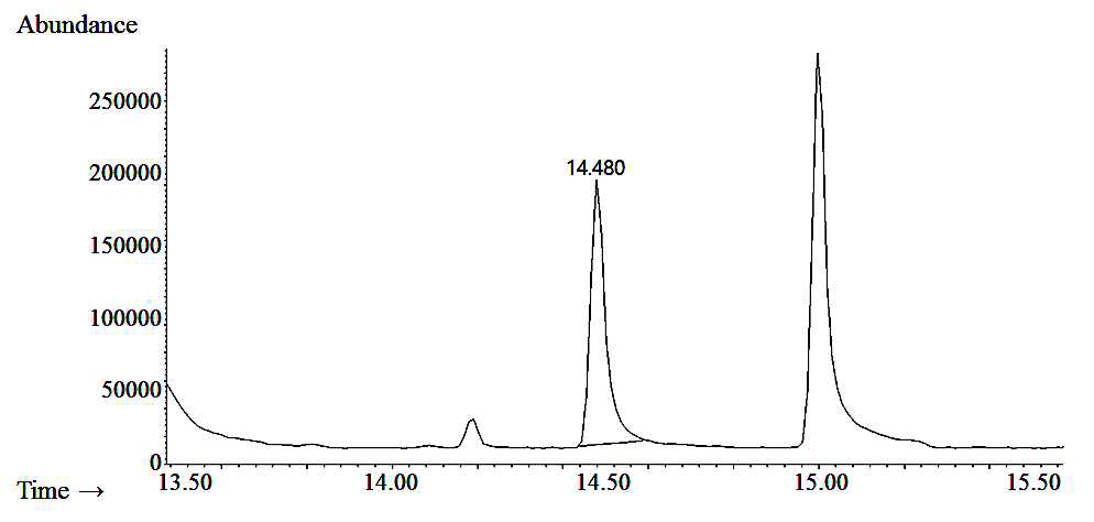 o-Xylene의 GC-MS chromatogram