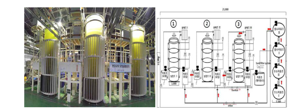 The foreground and water flow diagram of pilot scale system