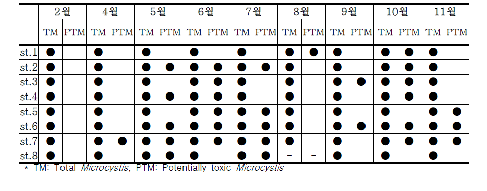 Spatial and temporal variations of total Microcystis (non-toxic and toxic) and potentially toxic Microcystis in Nakdong river