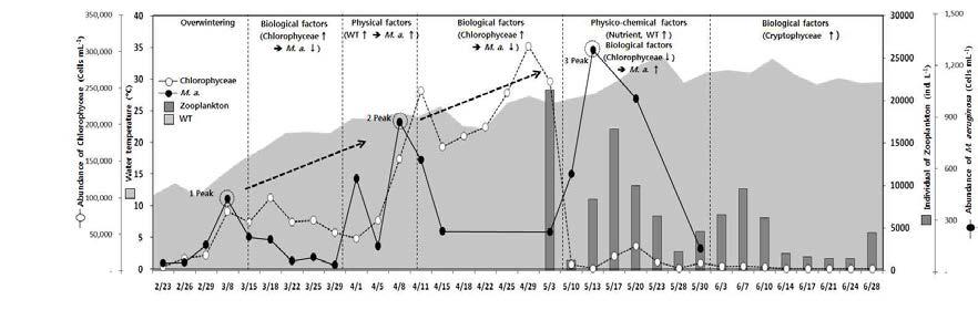 Variations of environmental factors and plankton succession in this study