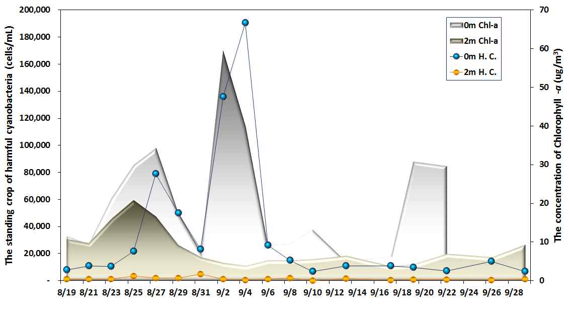 Variations of toxic cyanobacterial standing crops at experimental system 1