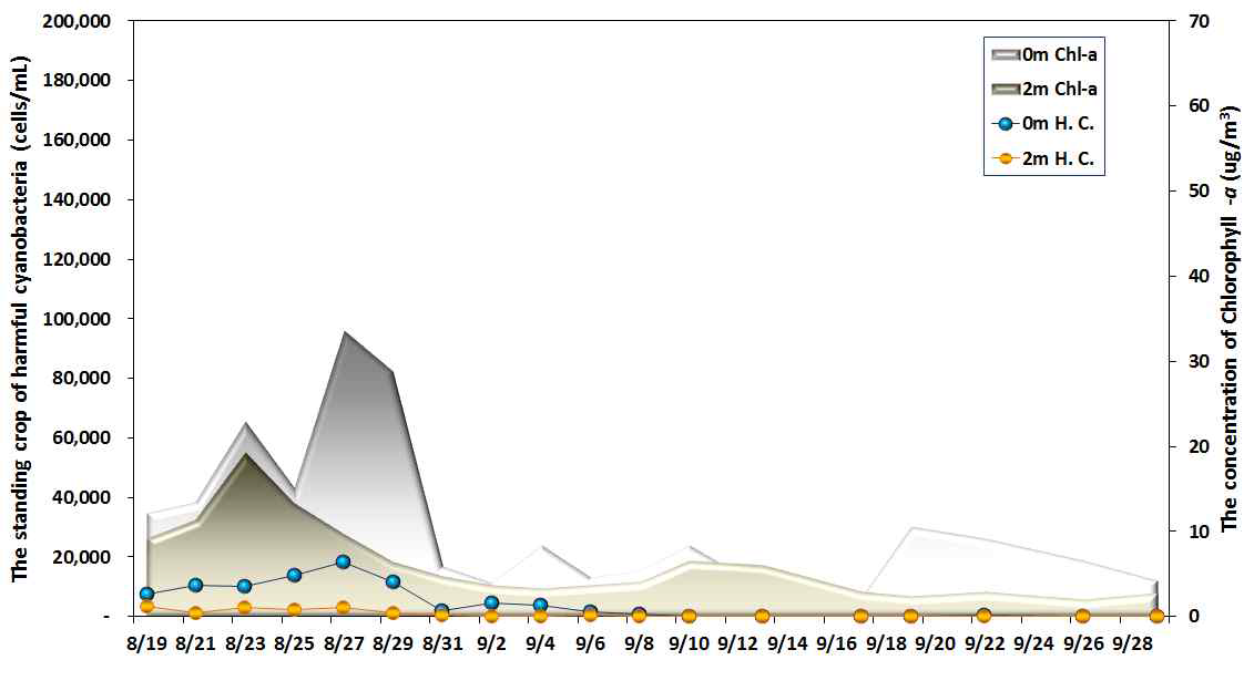 Variations of toxic cyanobacterial standing crops at experimental system 2