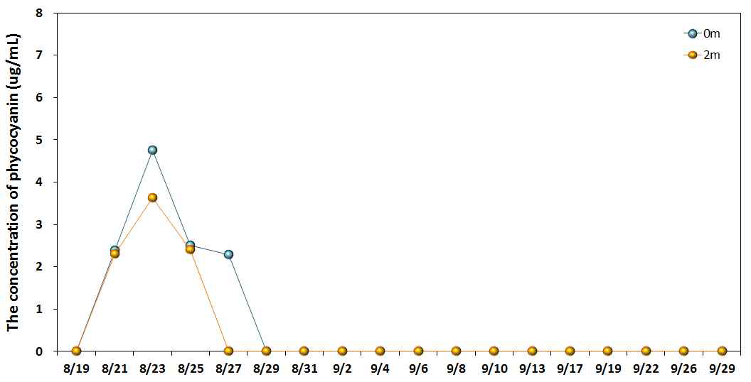 Variations of phycocyanin concentration at experimental system 2