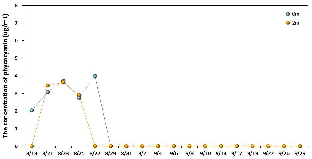 Variations of phycocyanin concentration at control system