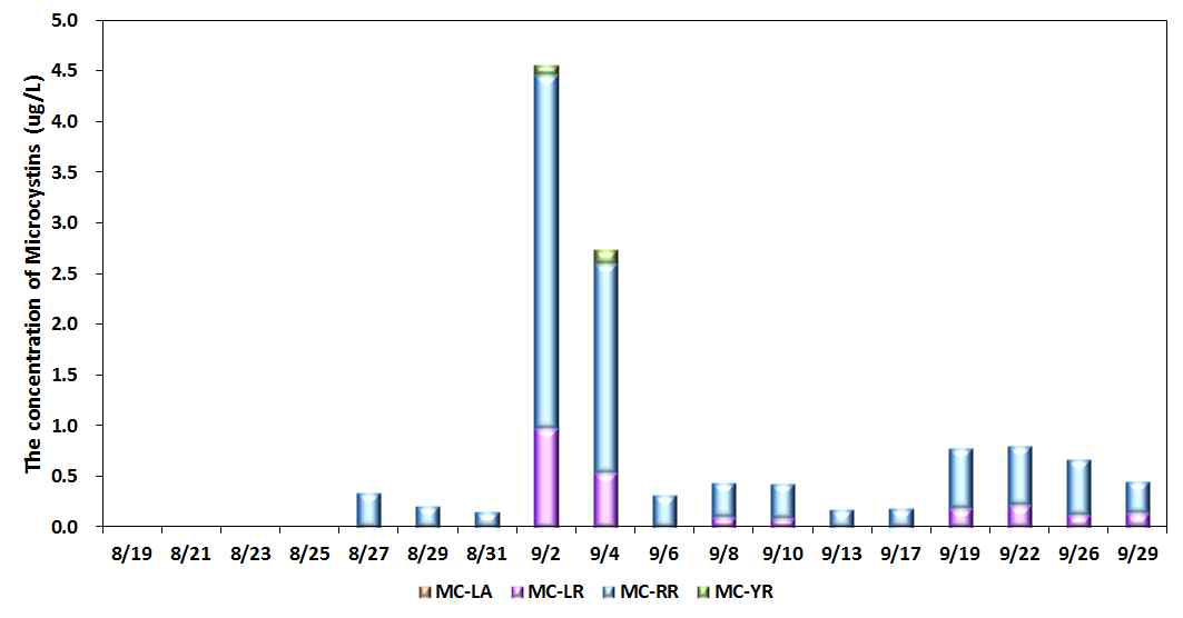 Variations of microcystins concentration at experimental system 1