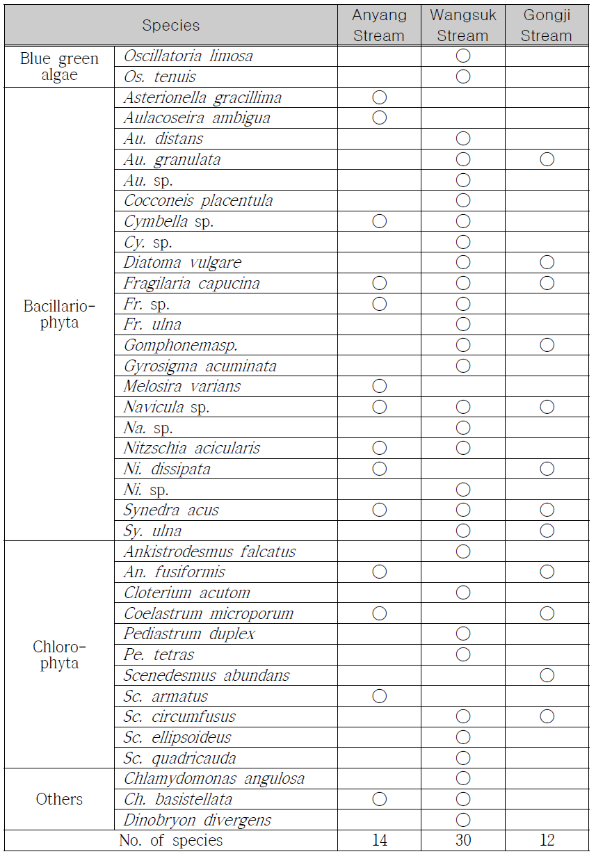 List of phytoplankton in each sampling site