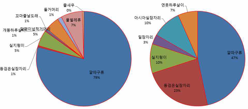 Benthic macroinvertebrate fauna at downstreams of Anyang Stream (left) and Wangsuk Stream (right).