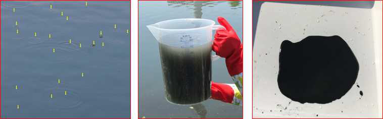 Bubbling (left) and bottom water (middle) at the downstreams of Anyang Stream, anaerobic sediment (right) in Wangsuk Stream