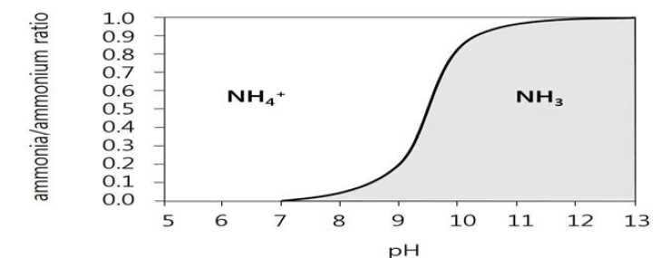 NH3-N forms according to pH variation in water