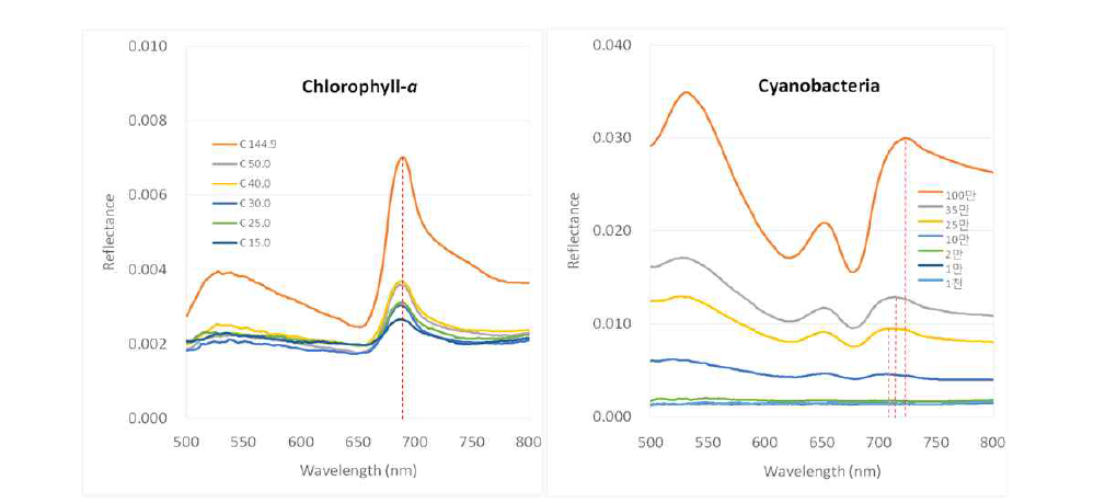 Spectral feature with respect to the changes in Chl-a concentration (left) and the Mycrocystis abundance (right)