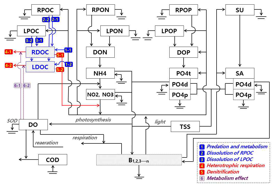 DOC를 세분화한 EFDC-NIER의 수질상태변수 관계 모식도