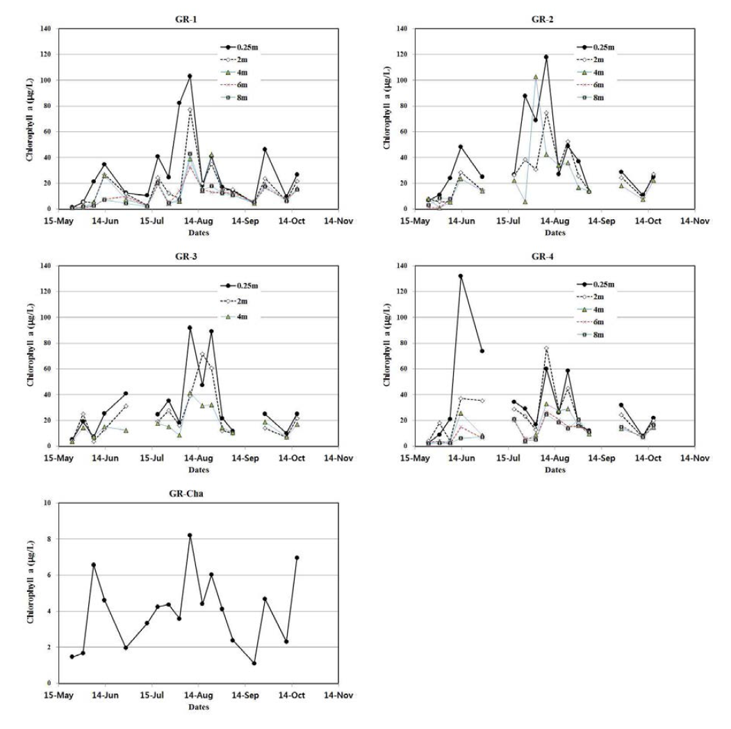 지점 및 수심별 Chl.a 농도