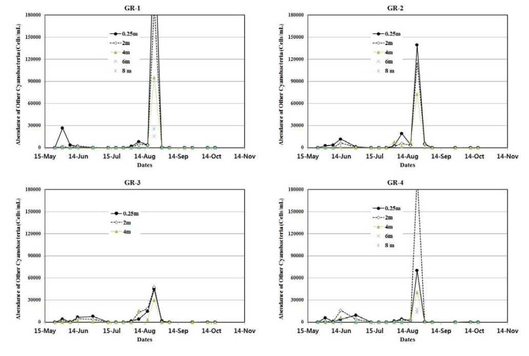 지점 및 수심별 기타 남조류의 세포수 현존량 변화