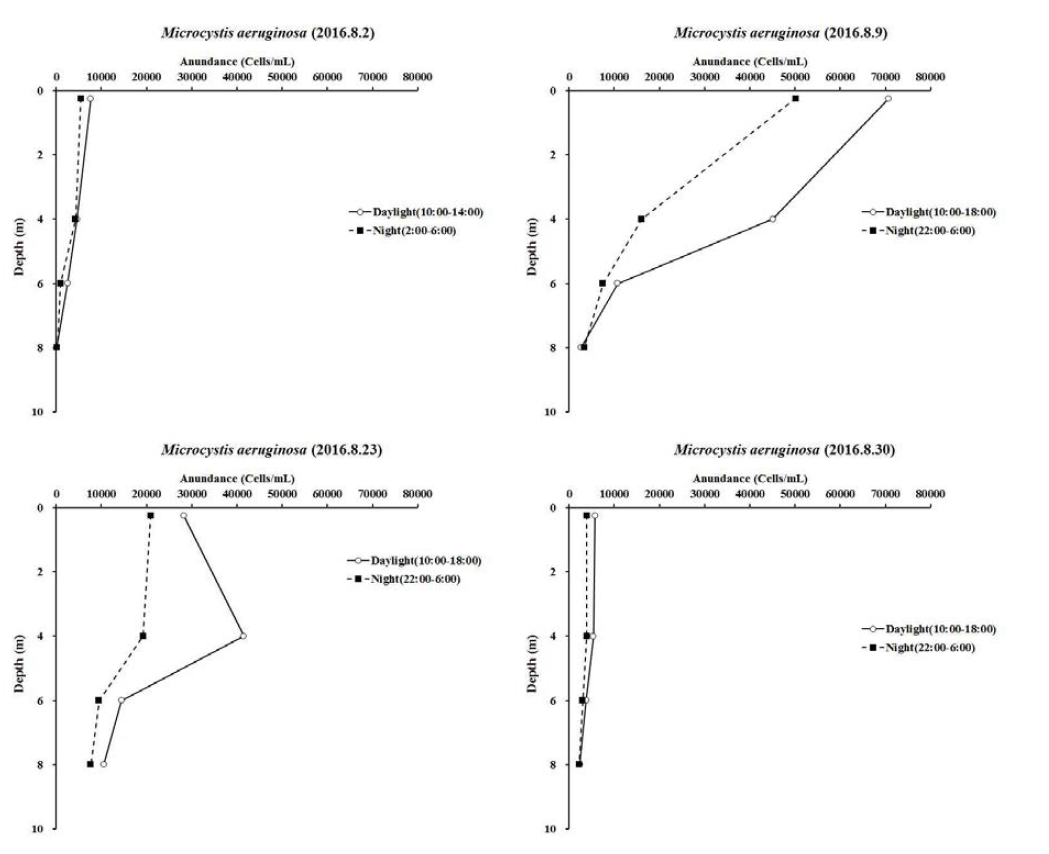 GR-5지점 Microcystis aeruginosa의 주야간 수심별 세포수 현존량 변화