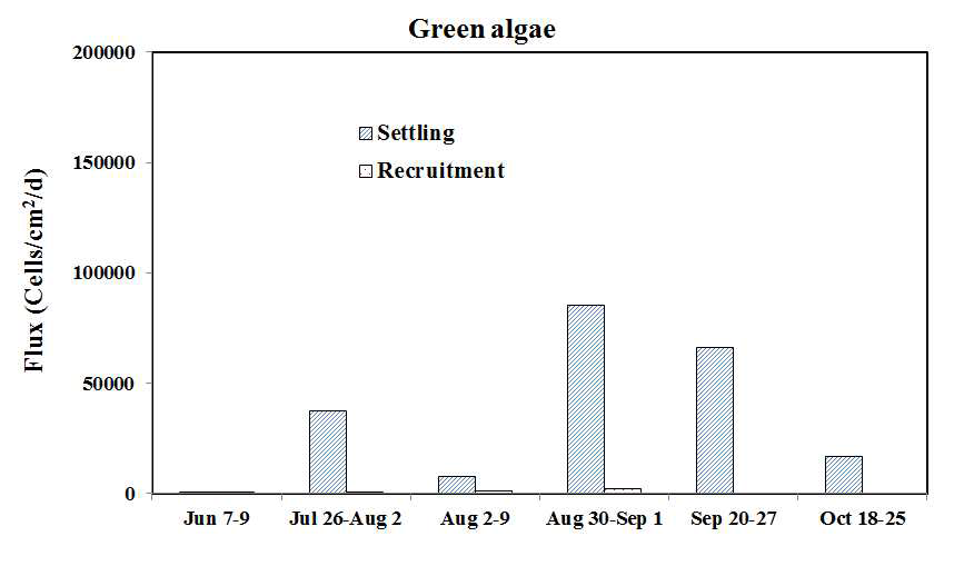 GR-3~GR-4 구간 녹조류의 침강량 및 재부유량 변화