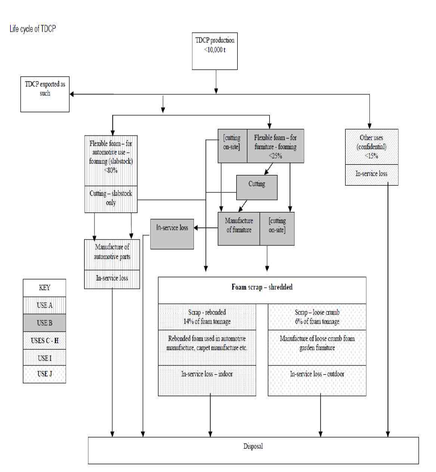 Life cycle of TDCP.