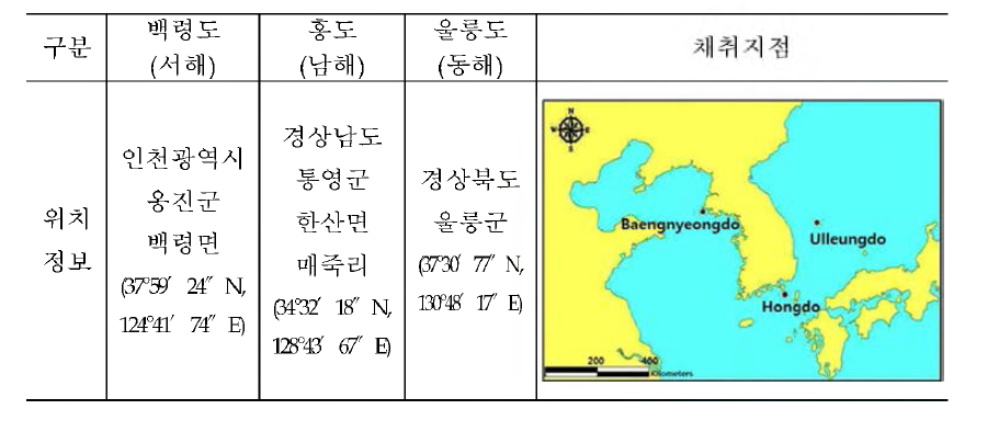 괭이갈매기 알 재추| 지점