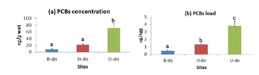 지역별 괭이갈매기 알 PCBs 농도와 부하량 비교(평균±표준오차)