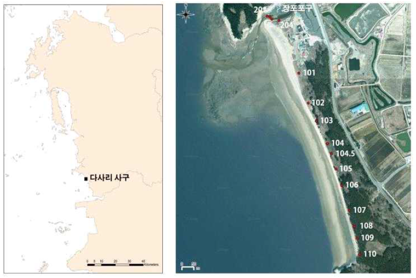 Location of Dasa sand dune and coastline for monitoring.