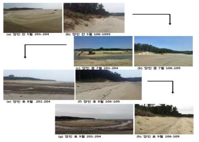 Before and after reinforcement at Dasa sand dune.