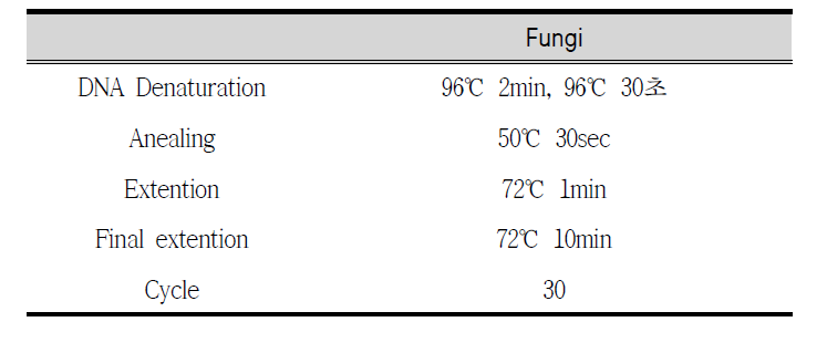 PCR conditions for amplification of fungi