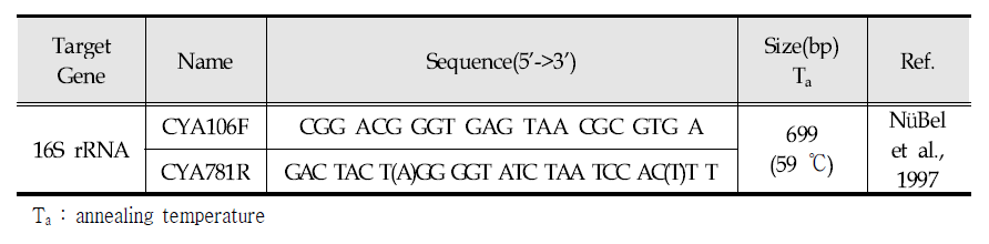 Primer of 16S rRNA region