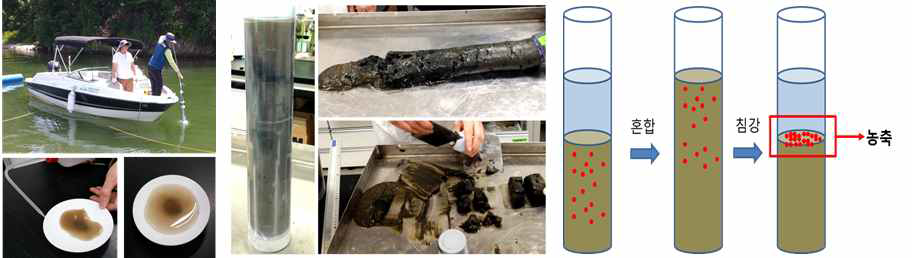 Sediment sampling and akinete concentration method.