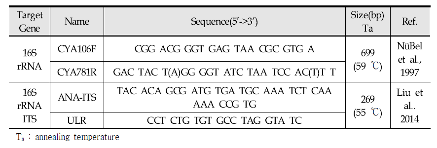 Primer of 16S rRNA and 16S rRNA region