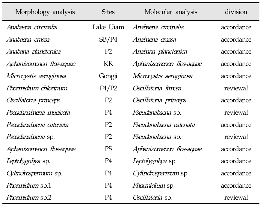 Comparison between the genes analysis and morphological classification(‘14~’16)