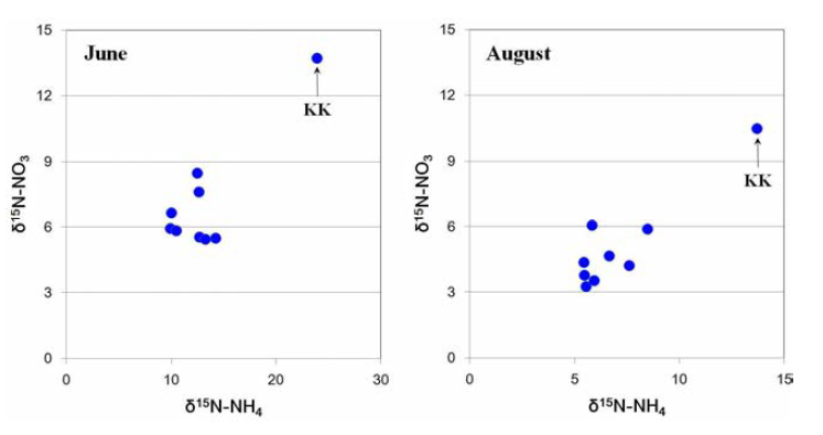 δ15N-NH4 vs δ15N-NO3 distribution of sampling site at June and August.