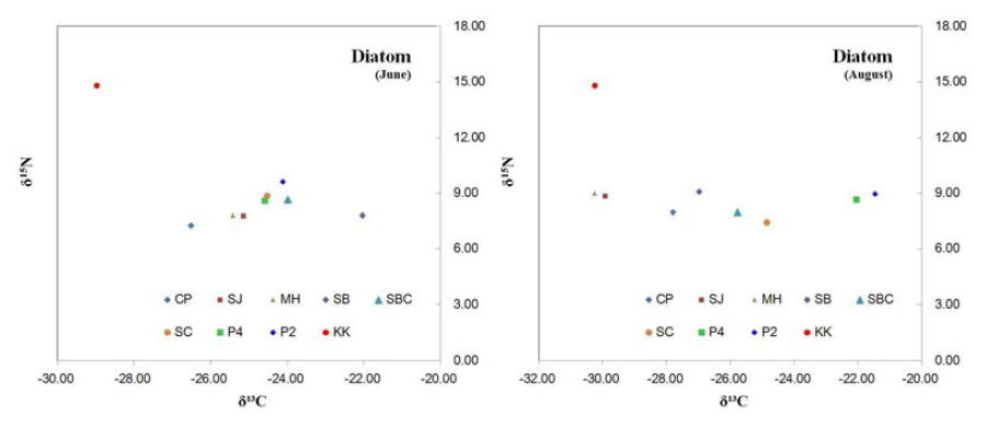 δ15N vs δ13C distribution of diatom at June and August.