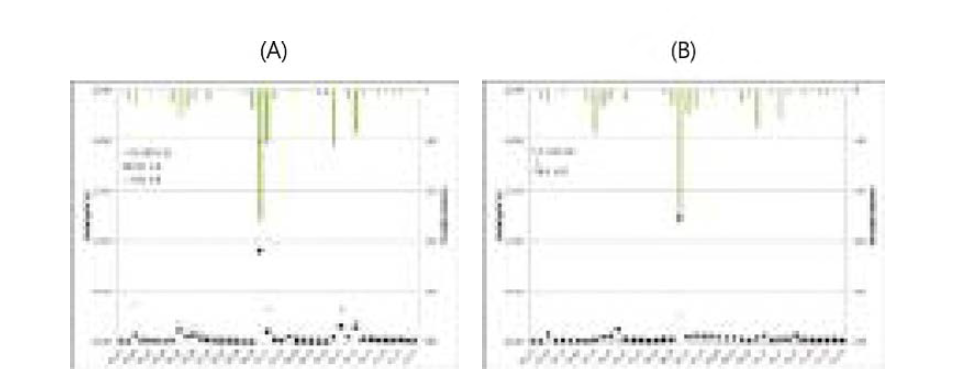 Average daily precipitation and discharge in Juwon and Pumgok streams