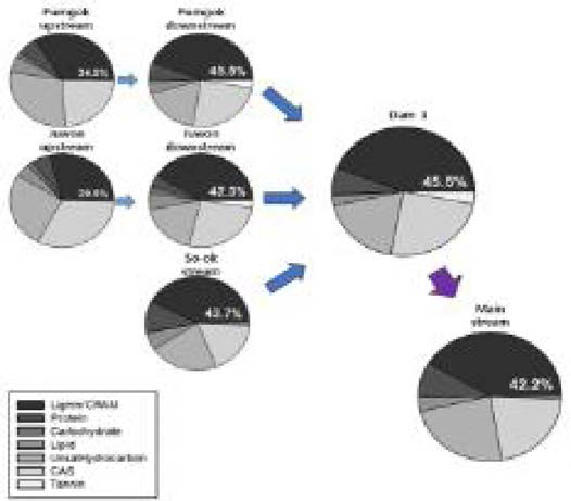 Percent ratio of composition for dissolved organic matter from van Krevelen diagrams in normal season