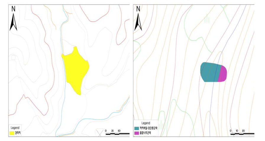 The actual vegetation map of Numeungol wetland(left), Gyechonri wetland(right)