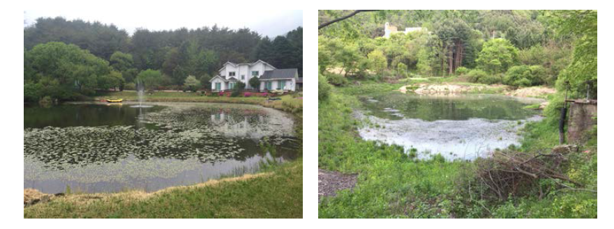 Landscape of Baekokpo wetland(left), Dunnae wetland(right)