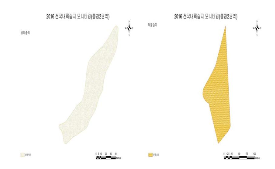 The actual vegetation map of Geumha wetland(left), Teokgol wetland(right)