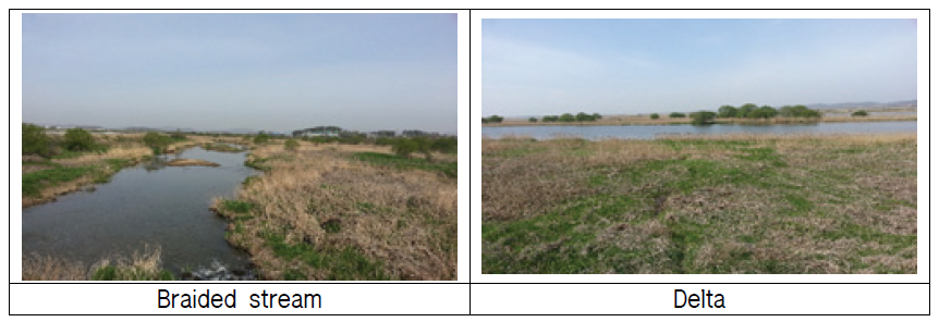 Photographs of Ganwolho wetland.