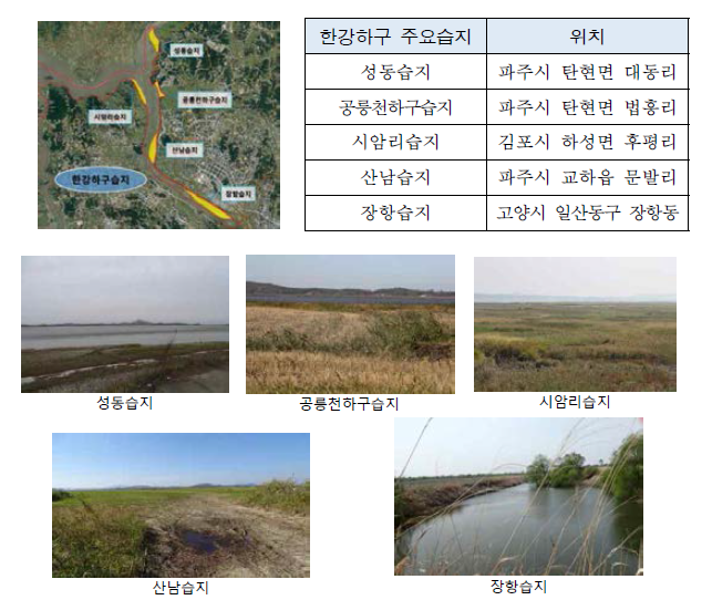 Location and foreground of Han-river estuary