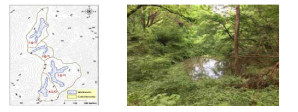 Location and foreground of Wolyoung Wetland.