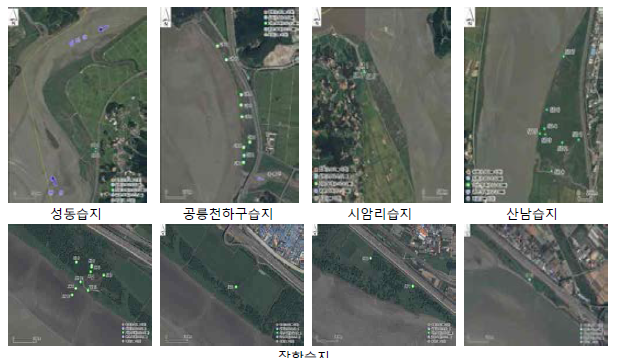 Soil particle size distribution of major wetland in Han-river estuary