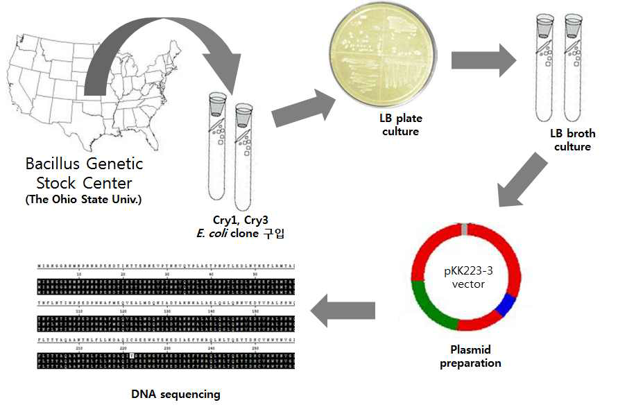 Cry toxin DNA 서열 확보를 위한 실험 방법
