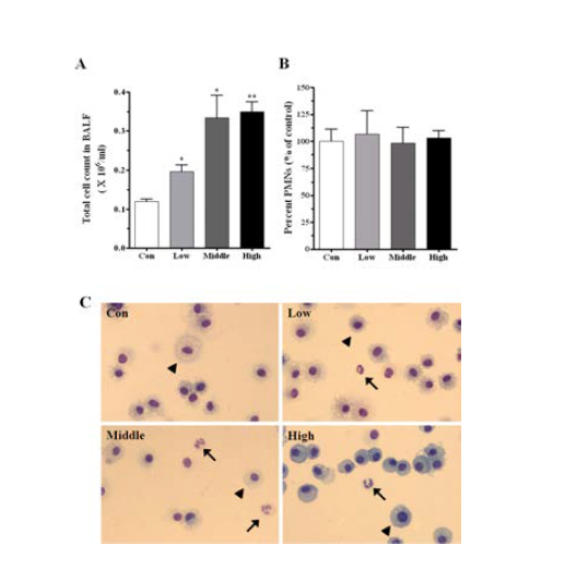 Cell morphology of BALF,