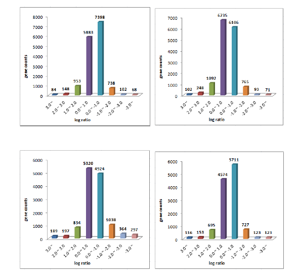 Gene expression exposed to cerium dioxide