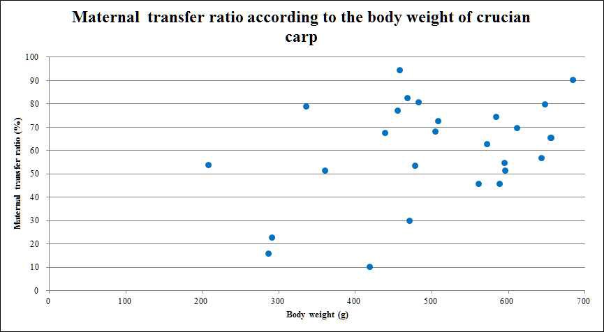 Maternal transfer ratio according to the body weight of crucian carp.