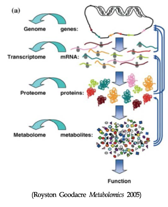 Omics technology composed of genomics, proteomics and metabolomics.