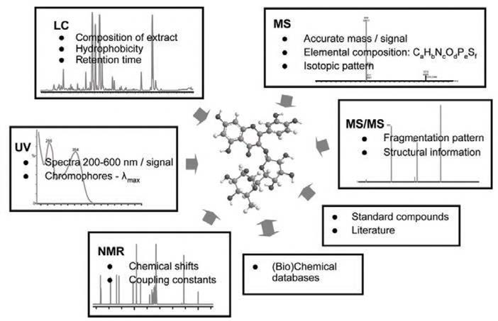 Data given by analytical technologies and databases that can lead to identification of a metabolite